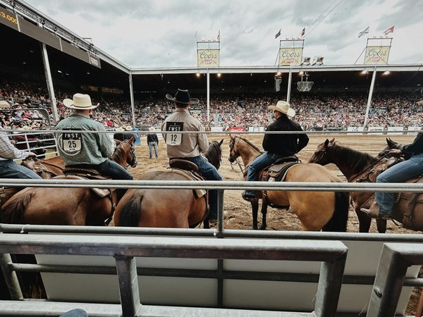 Le phénomène des combats professionnels illégaux : une réalité méconnue